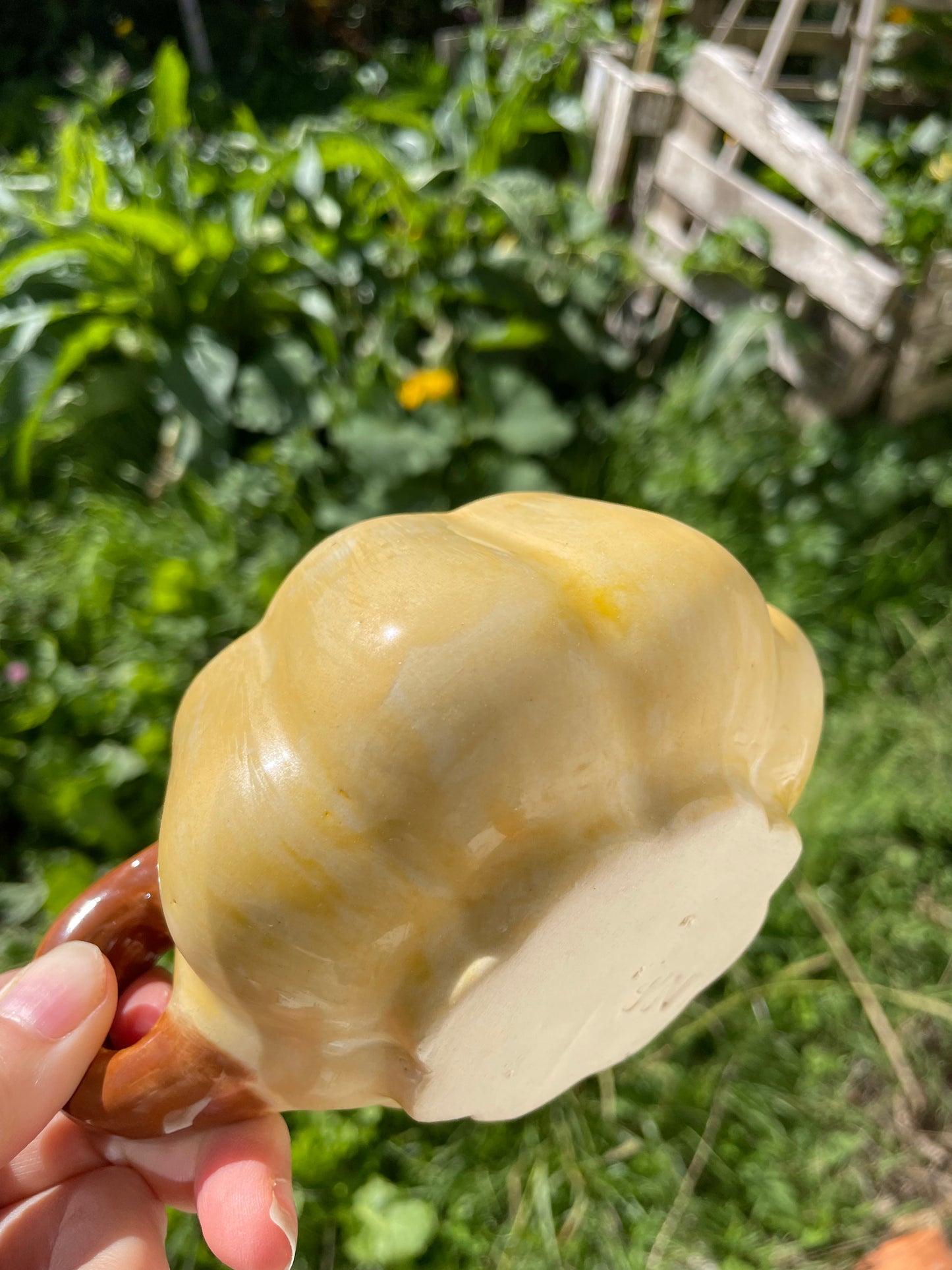 Tasse citrouille jaune ocre
