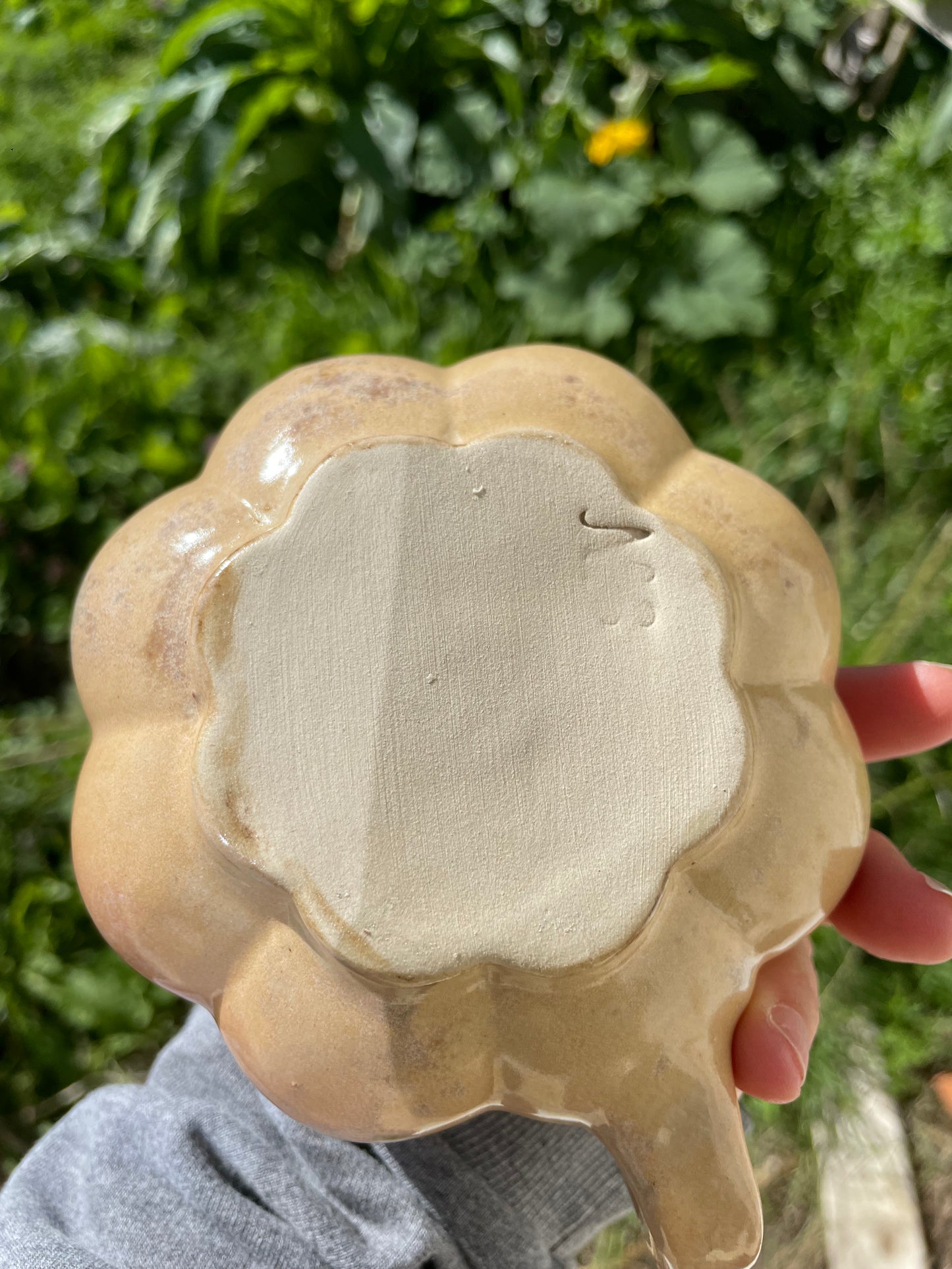 Tasse citrouille beige/ocre
