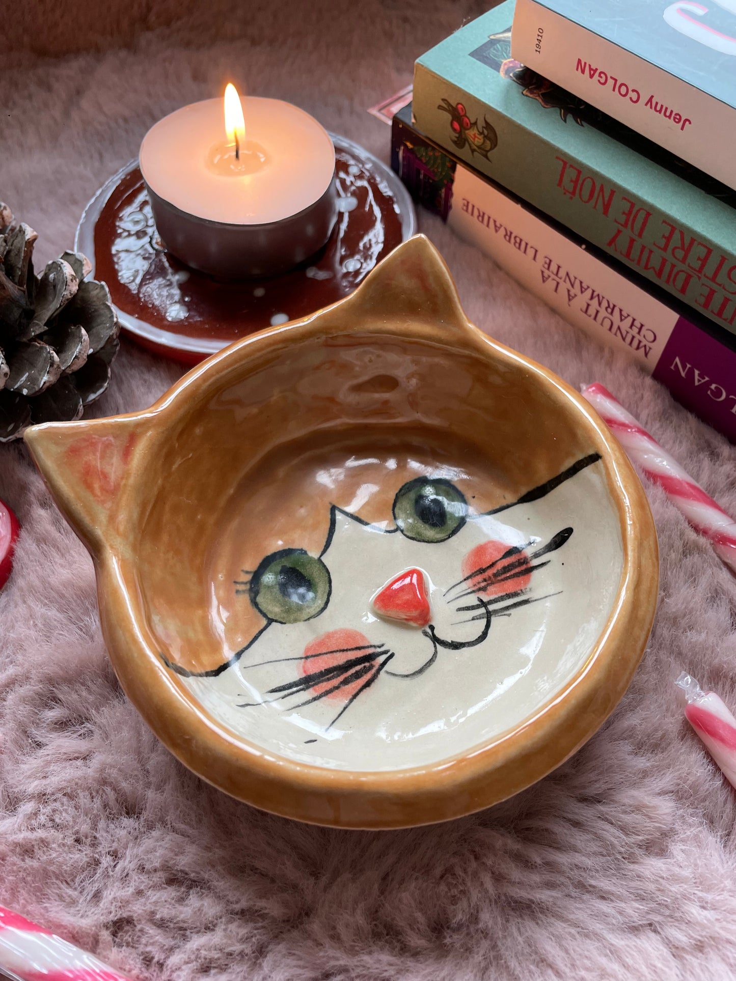 Gamelle pour chat roux