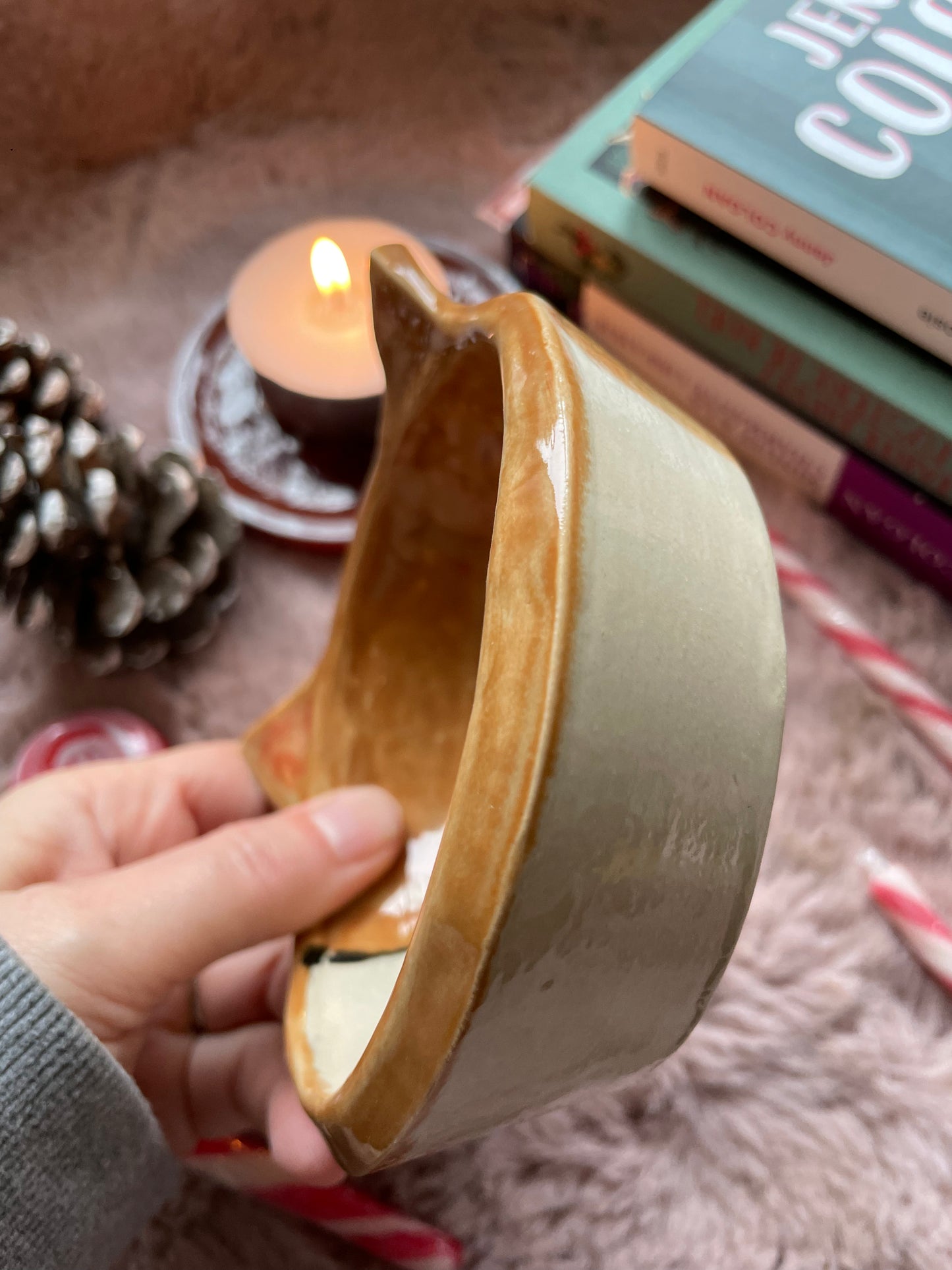 Gamelle pour chat roux